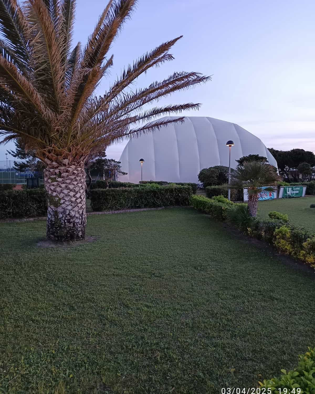 giardino con palme e struttura sportiva